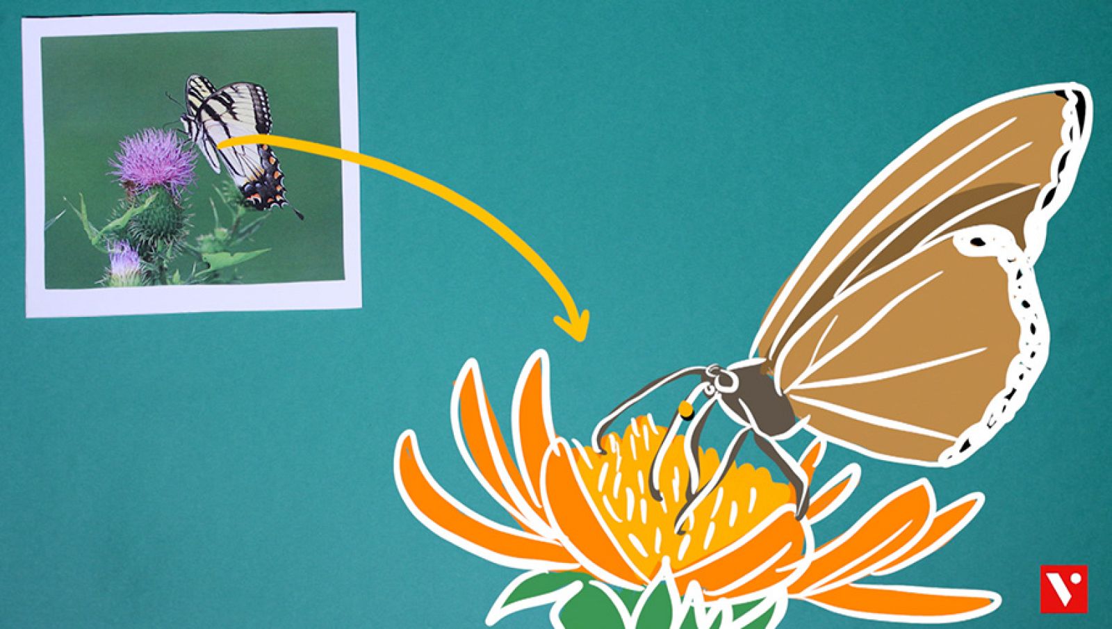 CIENCIAS NATURALES - Las adaptaciones - EduClan 9 a 10 años | Ver