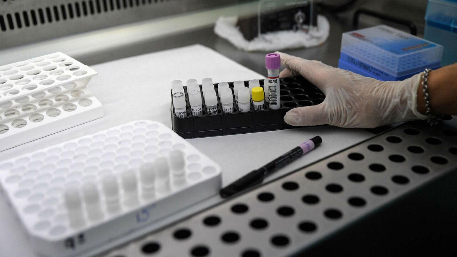 Coronavirus | Los tests constatan el alto número de contagios en las residencias | Ver