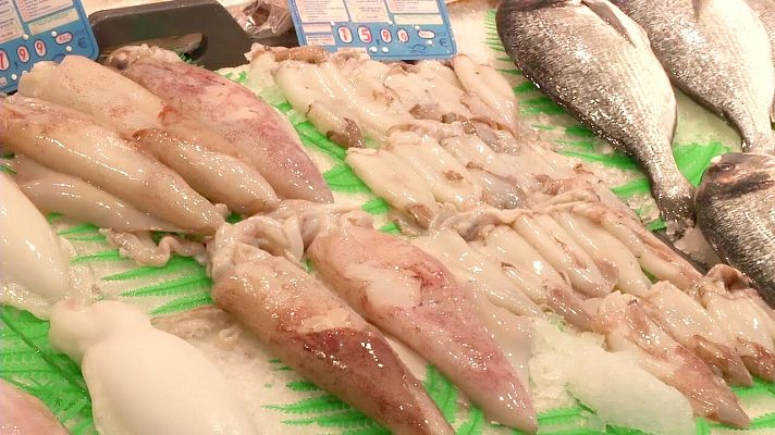 Aquí la Tierra - Una másterclass de cefalópodos