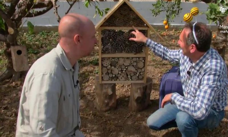 Aquí la Tierra - ¿Un hotel de insectos?