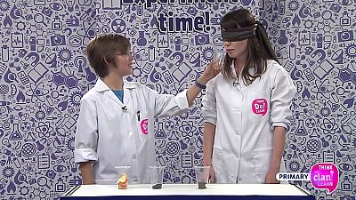 CIENCIAS NATURALES - What's that smell? | Ver