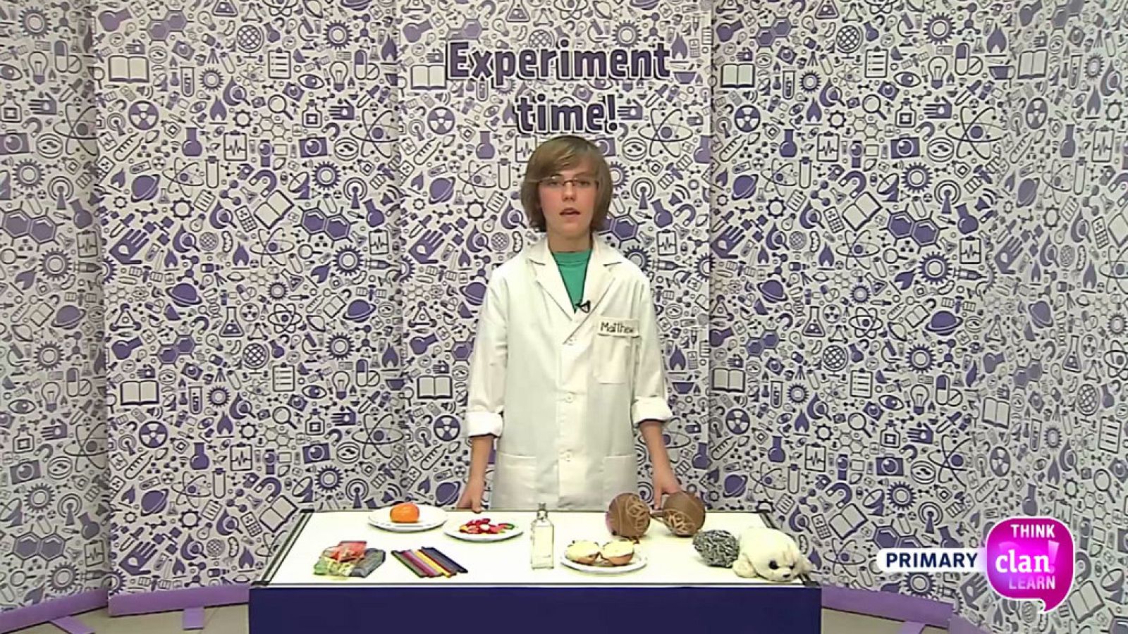 CIENCIAS NATURALES -  The senses corner - EduClan 6 a 8 años | Ver