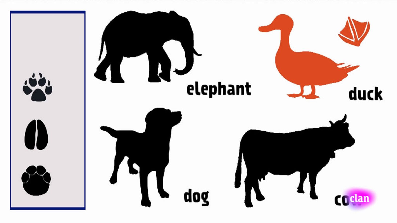 CIENCIAS NATURALES - Animal tracking - EduClan 6 a 8 años | Ver