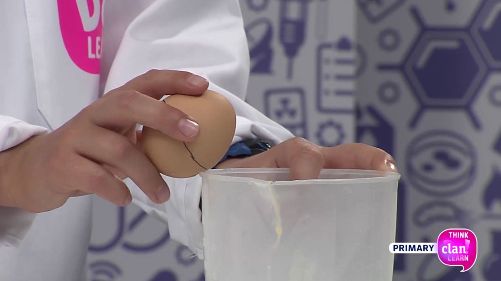 CIENCIAS NATURALES - Super strong eggs - EduClan 6 a 8 años | Ver