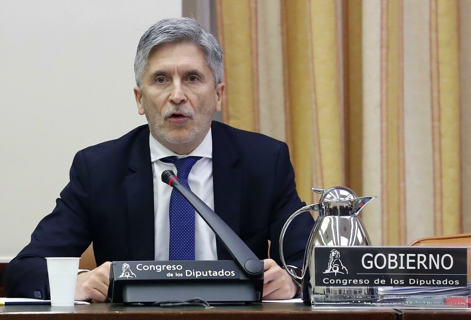 Marlaska dice que los bulos "no son libertad de expresión" y la oposición le acusa de censura -RTVE.es | Ver