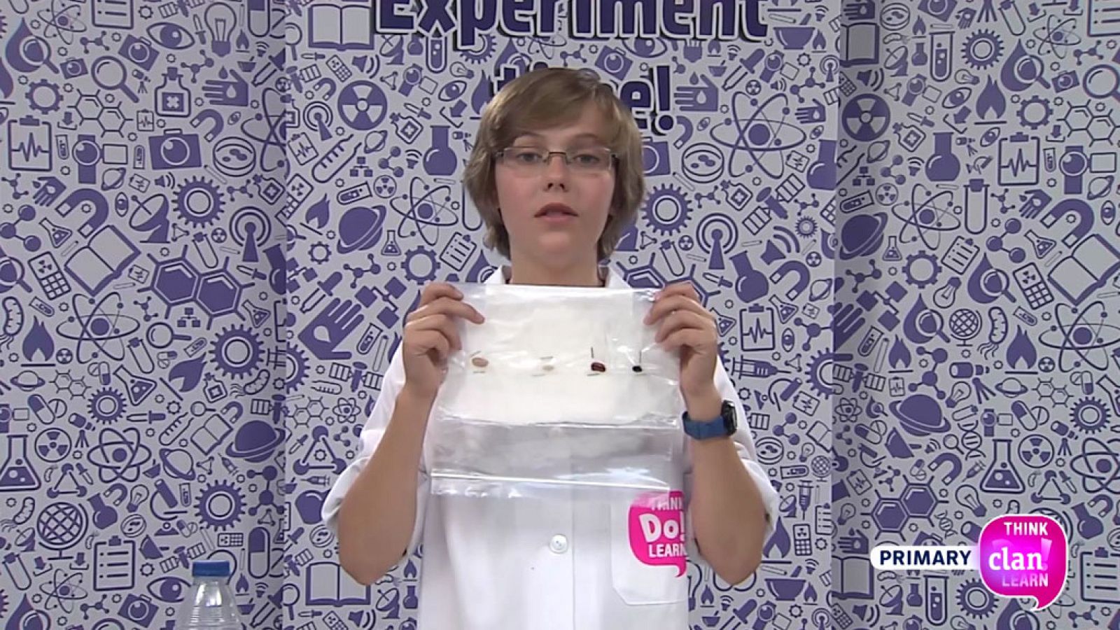 CIENCIAS NATURALES - Beans in a bag - EduClan 9 a 10 años | Ver