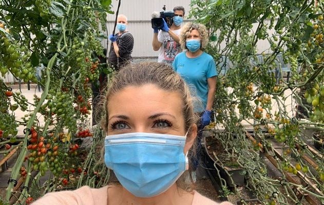 Aquí la Tierra - Doce variedades de tomate