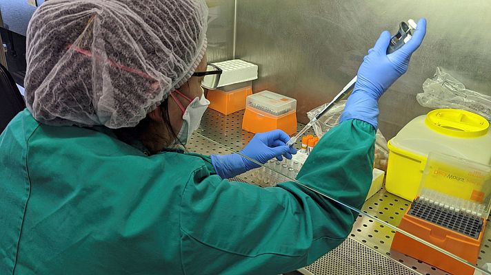 Informativo 24h - Fernando Simón: "Se ha pedido información a la OCDE para que explique cómo ha hecho las gráficas"