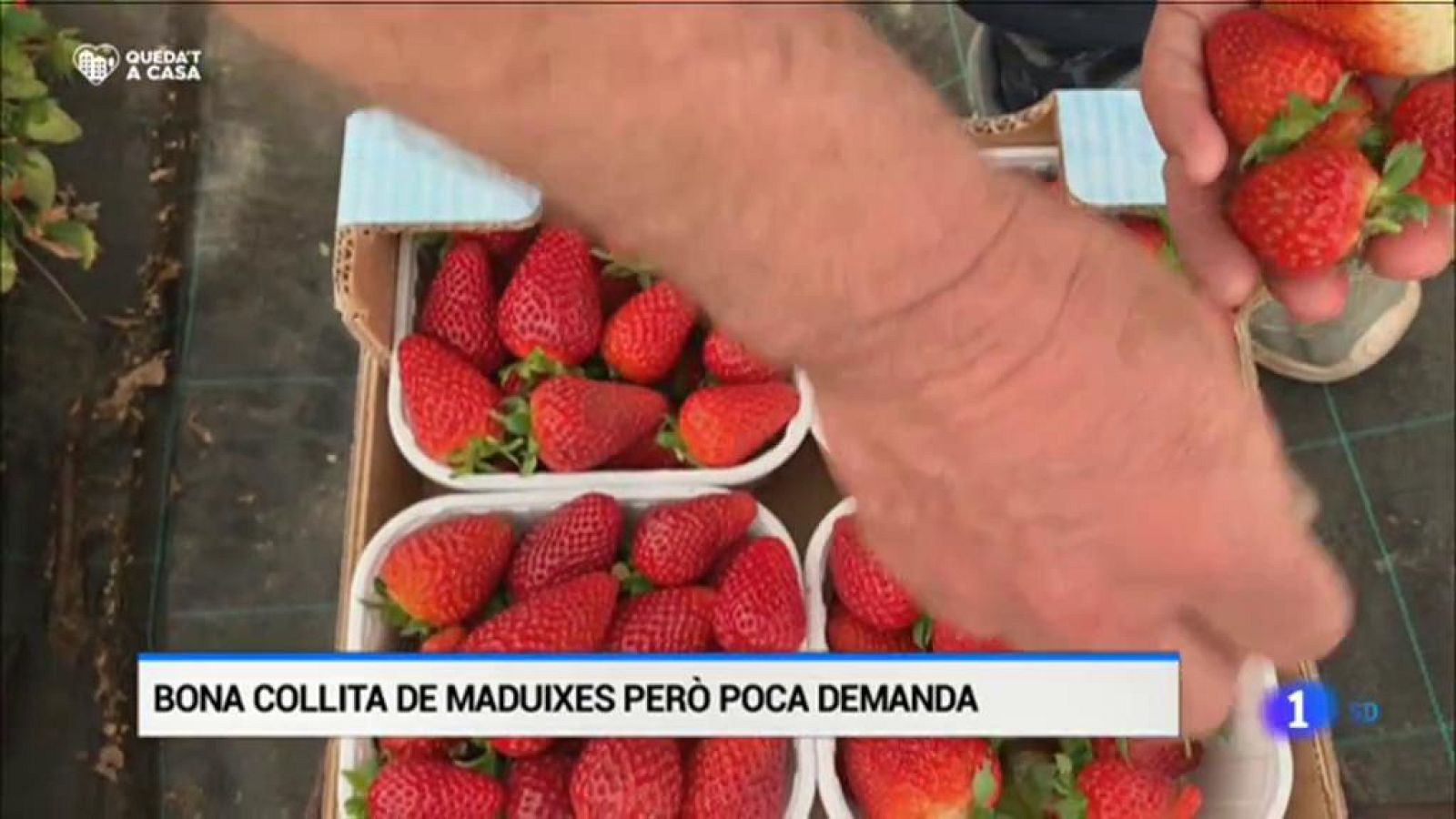 L'Informatiu - 28/04/2020