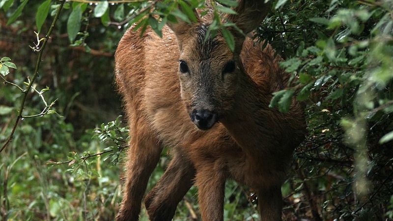 Juanma Bajo Ulloa: "El universo y la naturaleza  siempre nos dan una segunda oportunidad"
