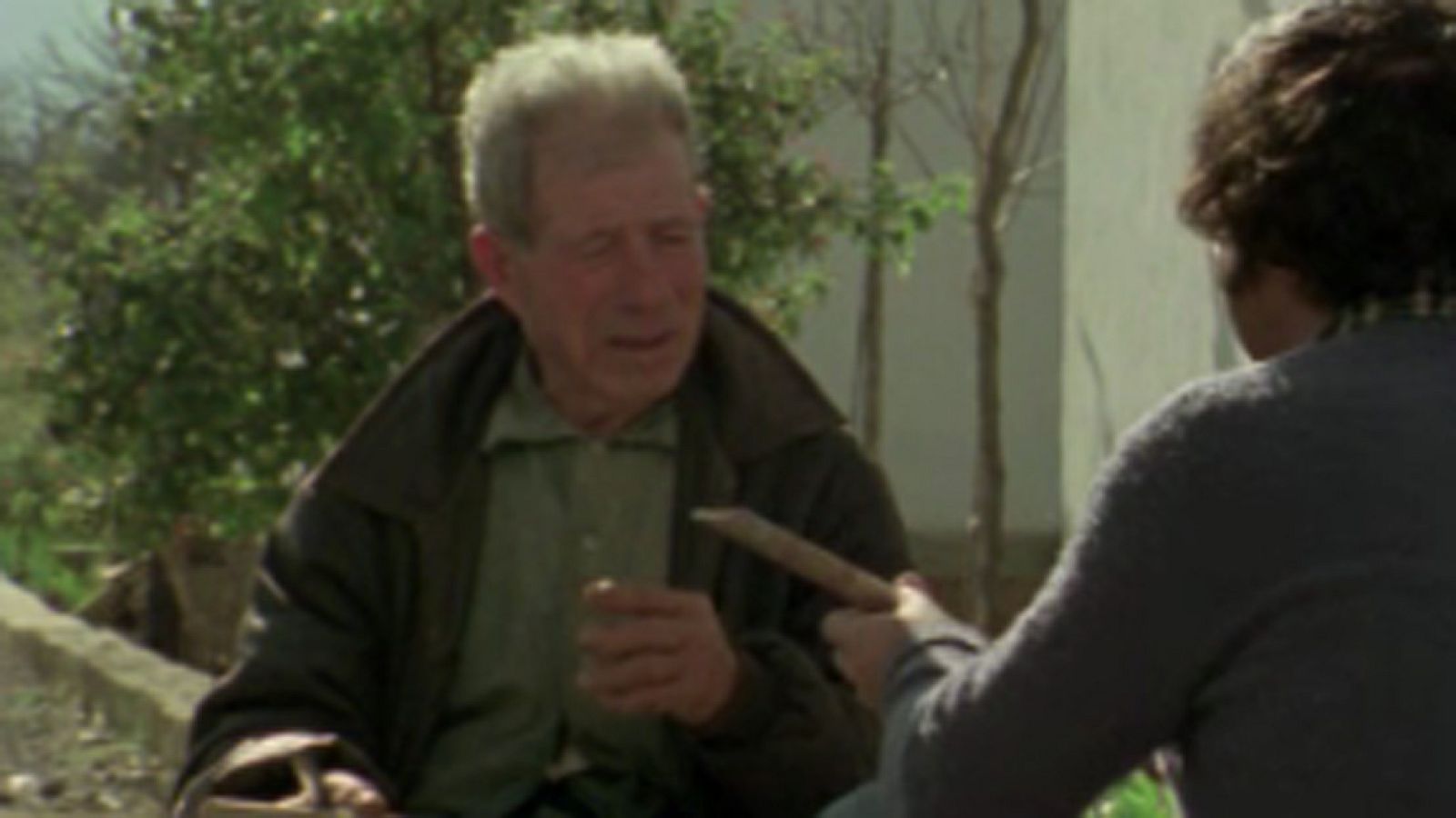 Raíces - Ibicencos - Raíces | Ver