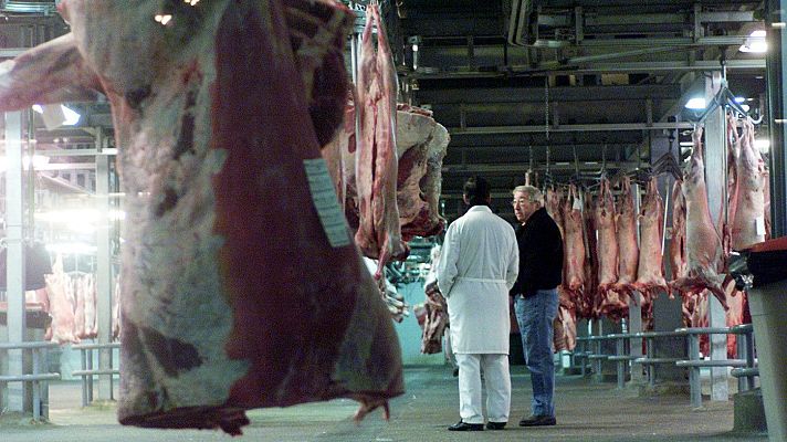 Telediario 1 - 400 positivos por coronavirus en los mataderos de Binéfar, Aragón