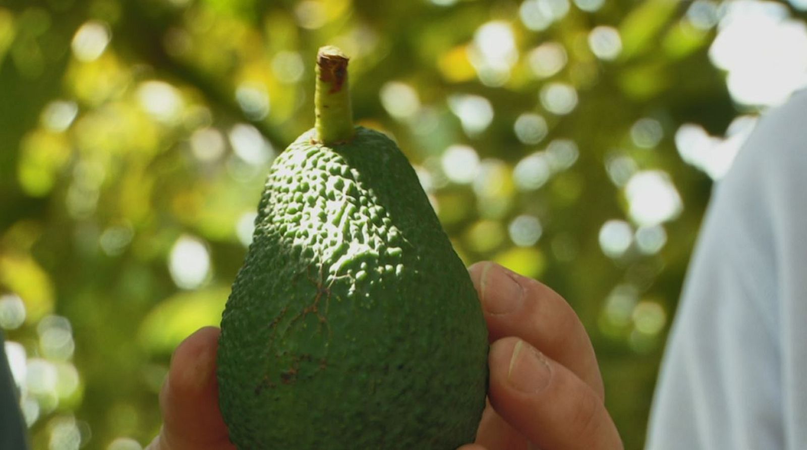 Aquí la Tierra - 30/04/20 - ver ahora