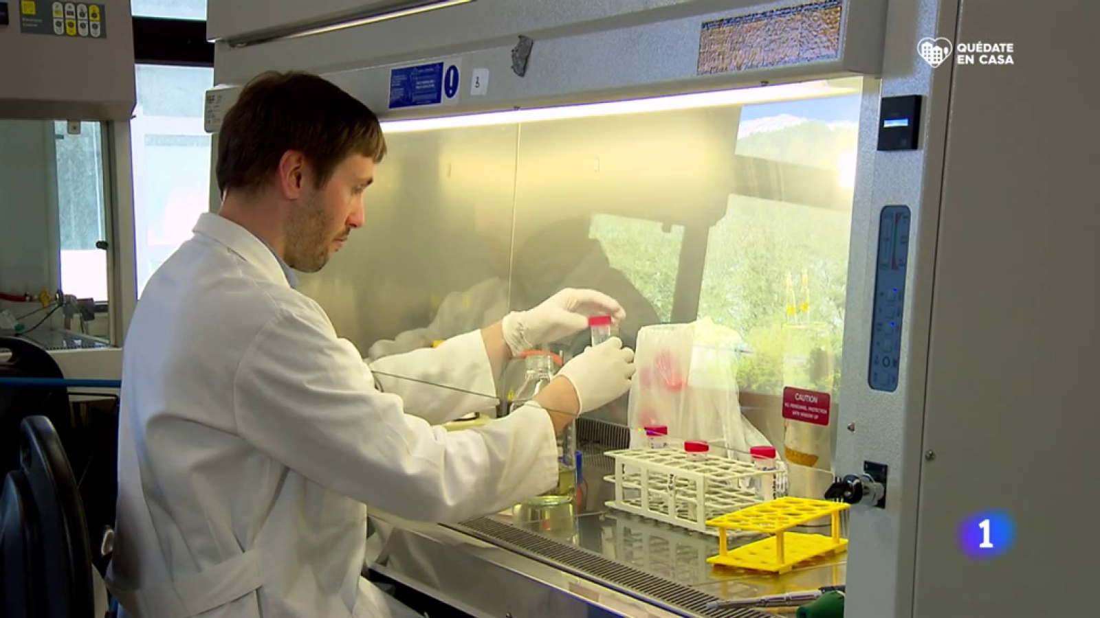 Investigadores de todo el mundo siguen la pista de la epidemia en las aguas fecales