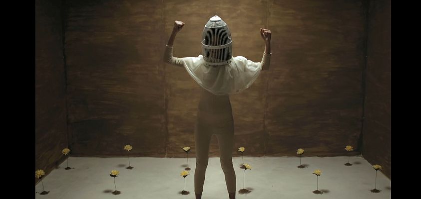 Cámara abierta - @Covidtimes_project, Mecal, Hakawatifilm y Shinova