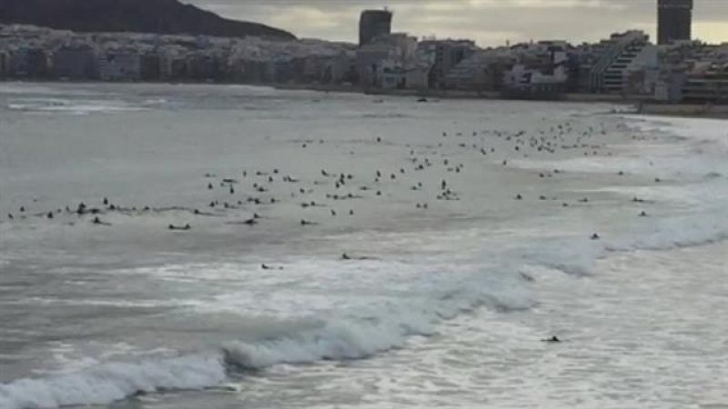 Telecanarias - 02/05/2020