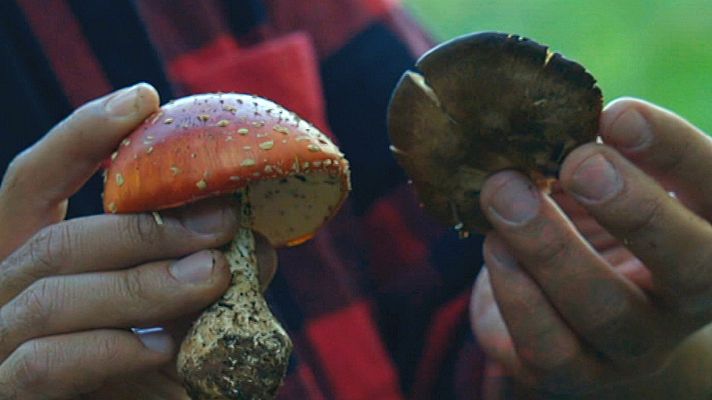 Las Rutas de... - Sierra de Albarracín: Tierra de refugio