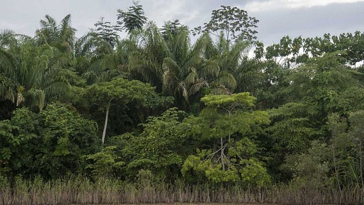Telediario 1 - Tres españoles y una residente que iban a ser repatriados mueren en un accidente aéreo en Bolivia