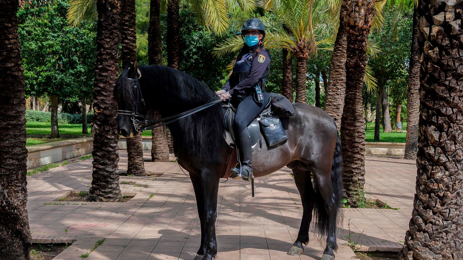 Vídeo: 7.073 personas han sido detenidas en España por incumplir las medidas del estado de alarma