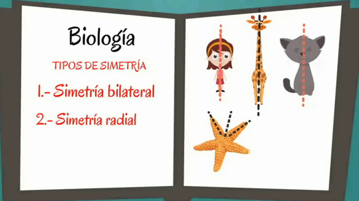 Aprendemos en casa - 14/16 - Matemáticas