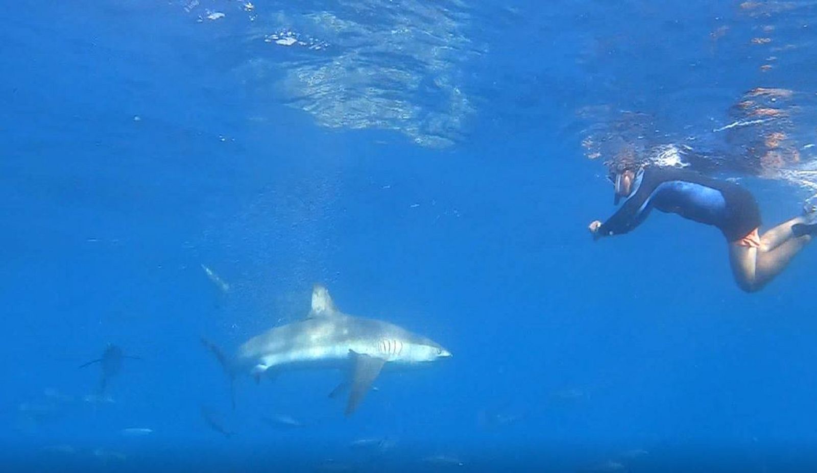 El doctor Lebrato y su centro de operaciones en Mozambique