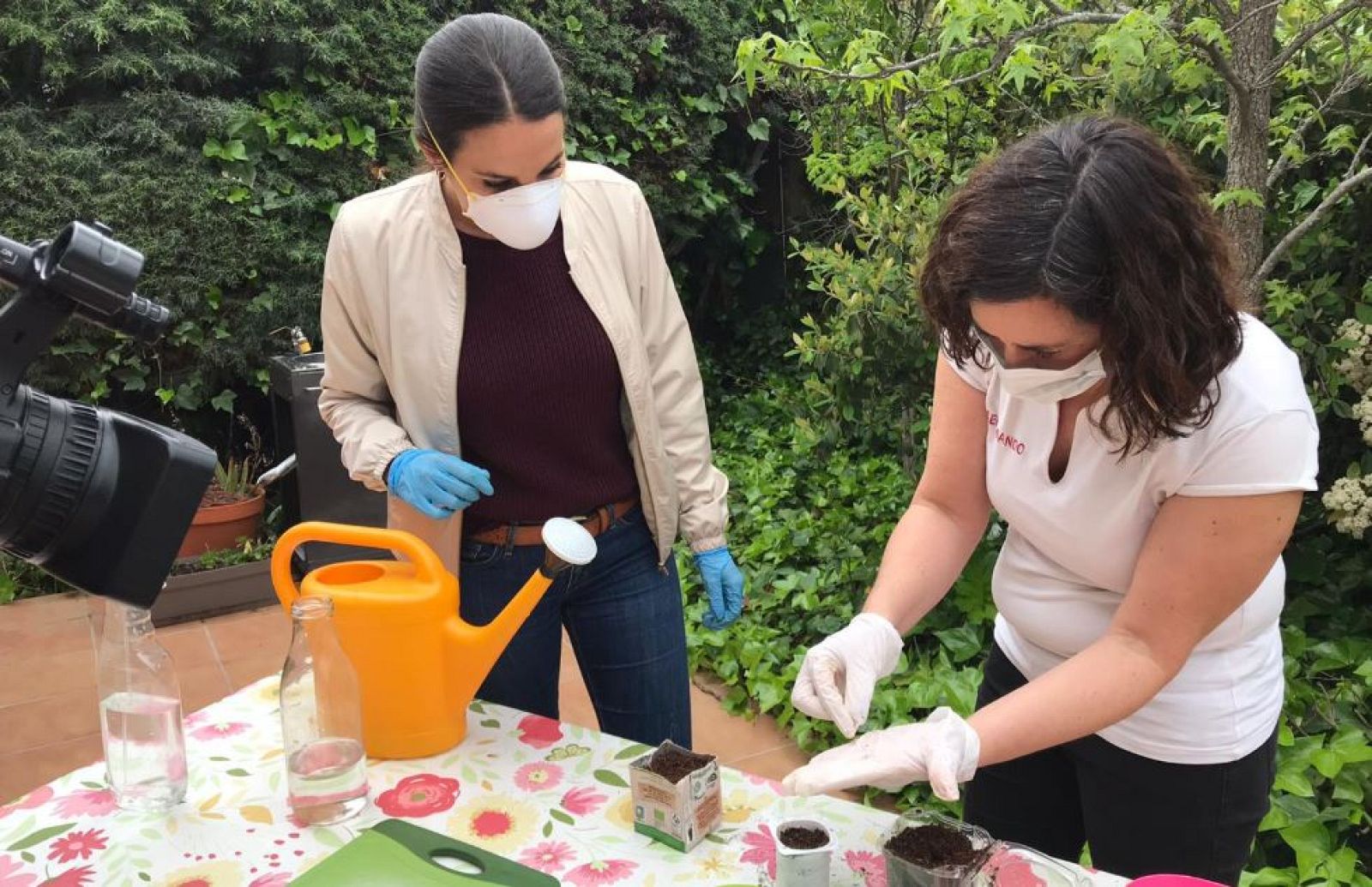Huerto en casa, ¡sin espacio ni semillas!