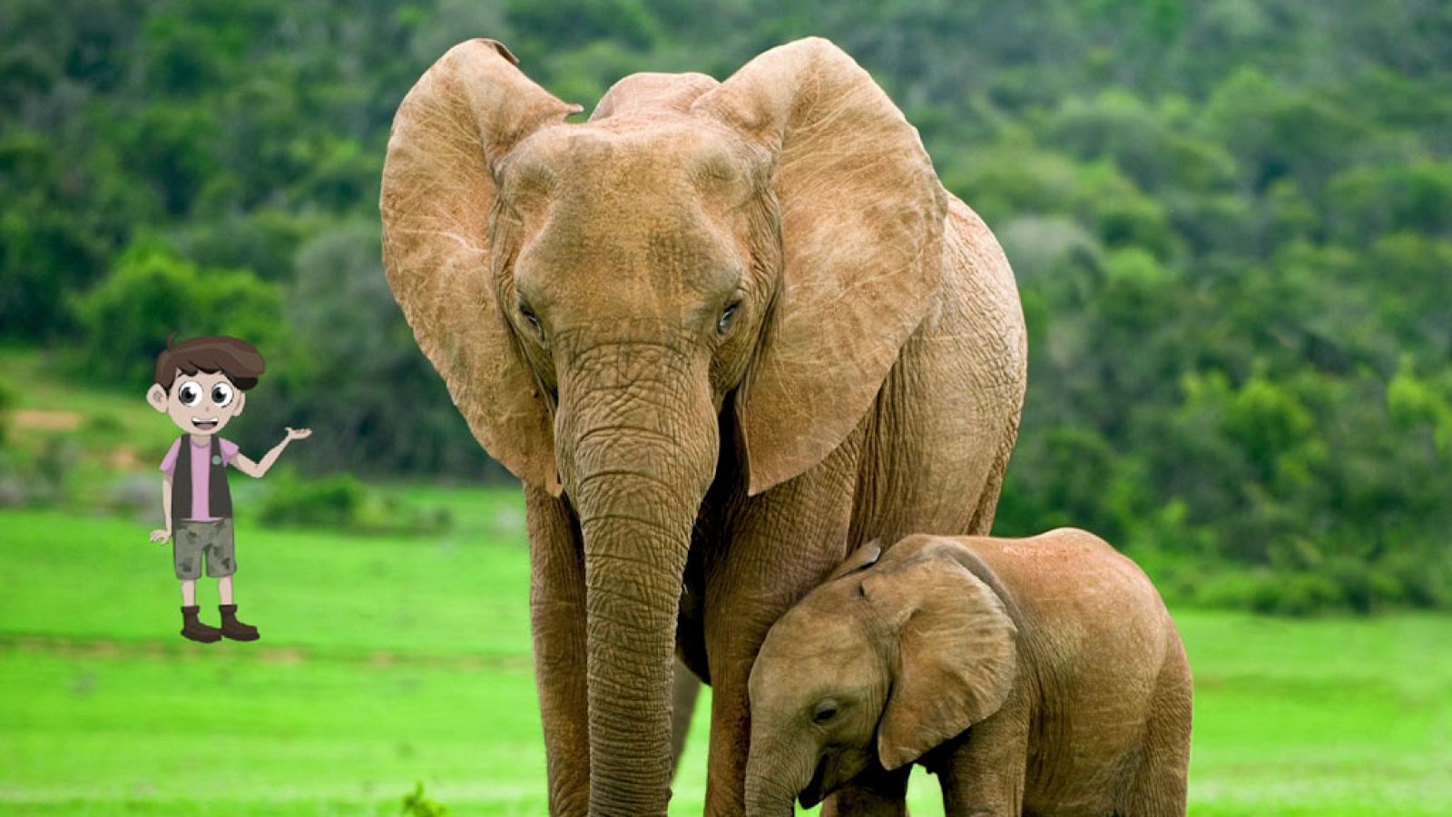 CIENCIAS NATURALES - Animals change - EduClan 6 a 8 años | Ver