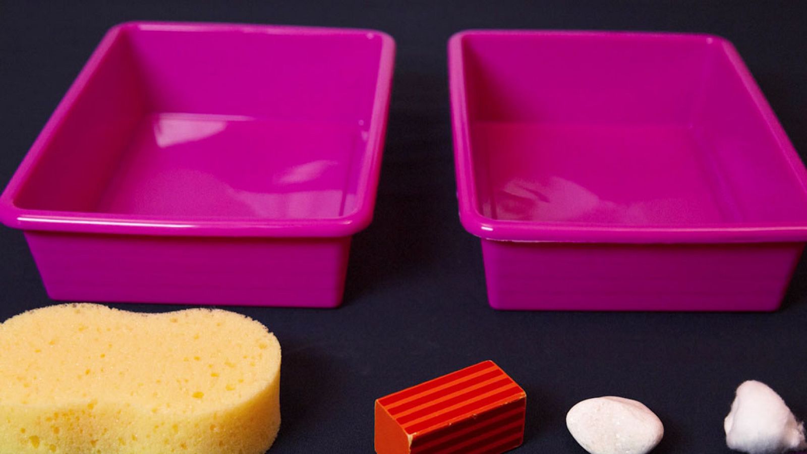 CIENCIAS NATURALES -  Is it hard or soft? - EduClan 6 a 8 años | Ver