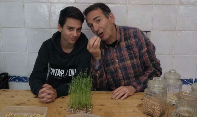 Aquí la Tierra - Germinados sin salir de casa