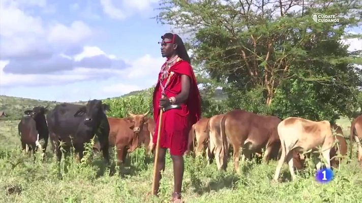 Telediario 1 - El pueblo Masái teme que el coronavirus también llegue a su territorio