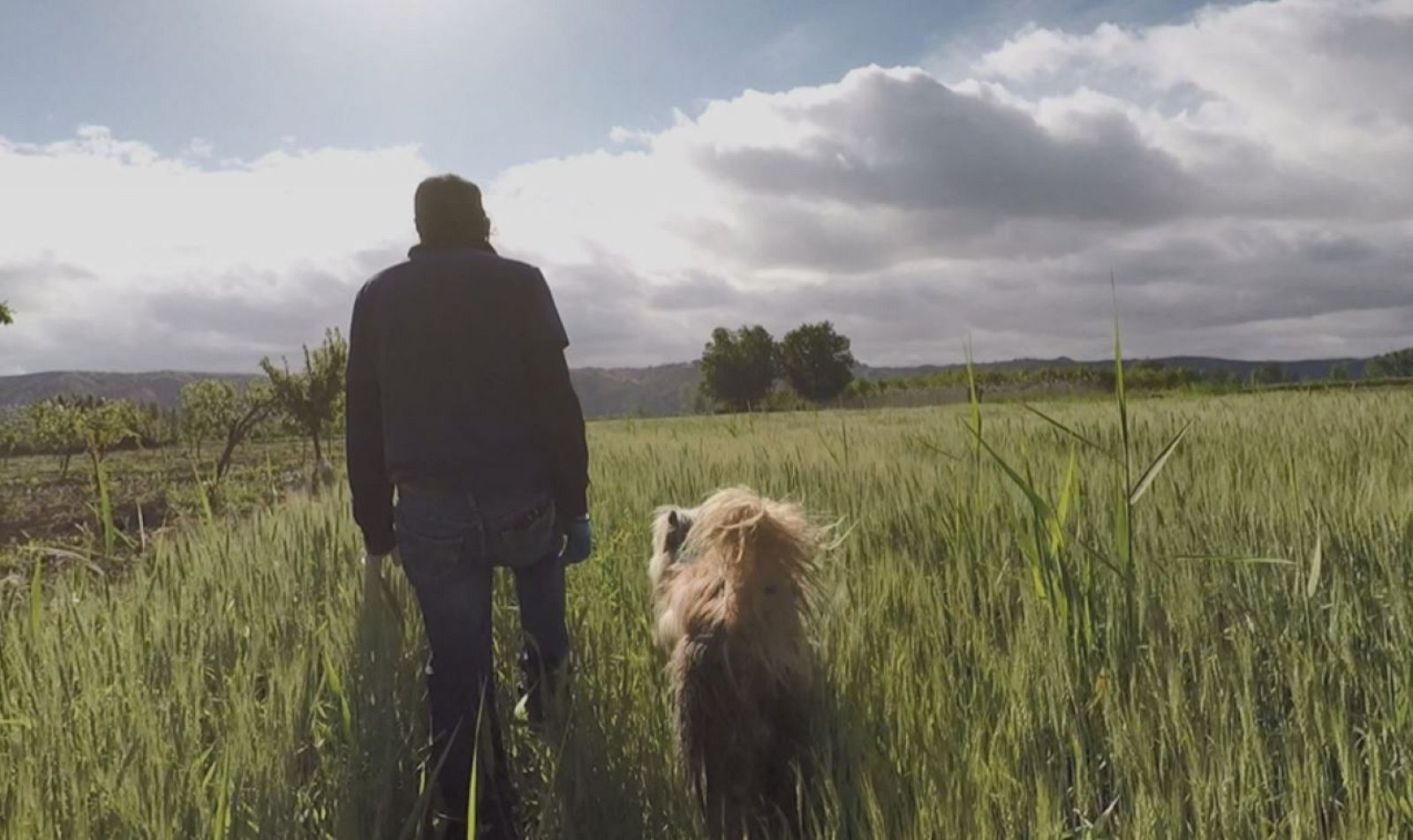 Los tomates que vendrán en verano