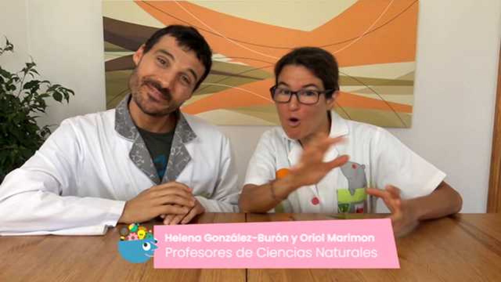 Aprendemos en casa 8 a 10 años - Programa 29 - Ciencias Naturales (08/05/20) - RTVE.es - Aprendemos en casa 8 a 10 | Ver