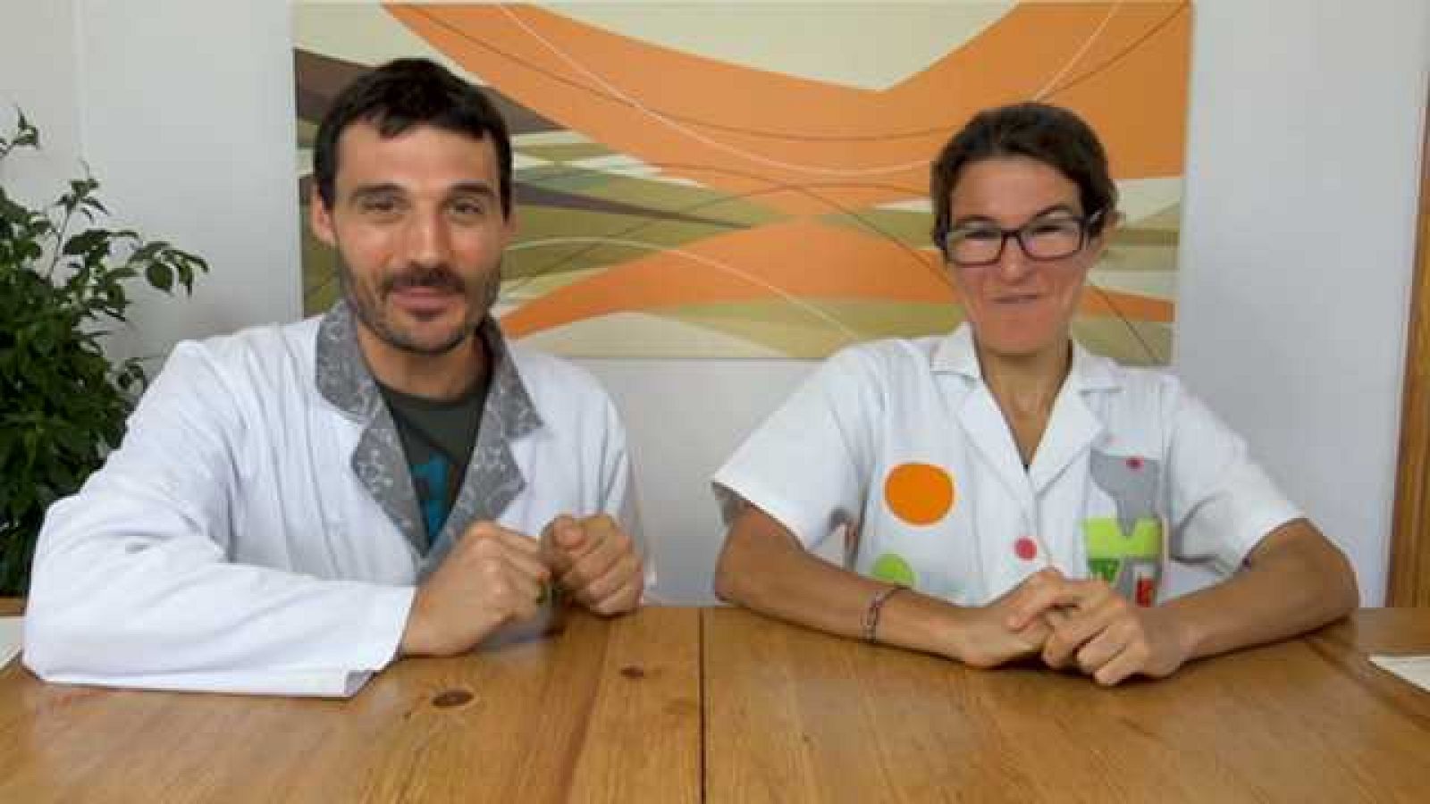 Aprendemos en casa 10 a 12 años - Programa 29 - Ciencias Sociales (08/05/20) - RTVE.es - Aprendemos en casa 10 a 12 | Ver