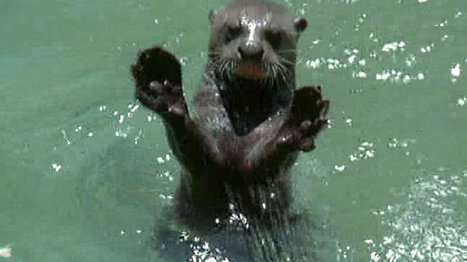 El hombre y la tierra (Serie venezolana) - El Edén perdido - ver ahora