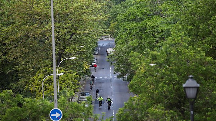 Especiales informativos - Sánchez: "Permanecerán en la Fase 0 las zonas que a juicio de los expertos no cumplen con las exigencias de salud pública necesarias"