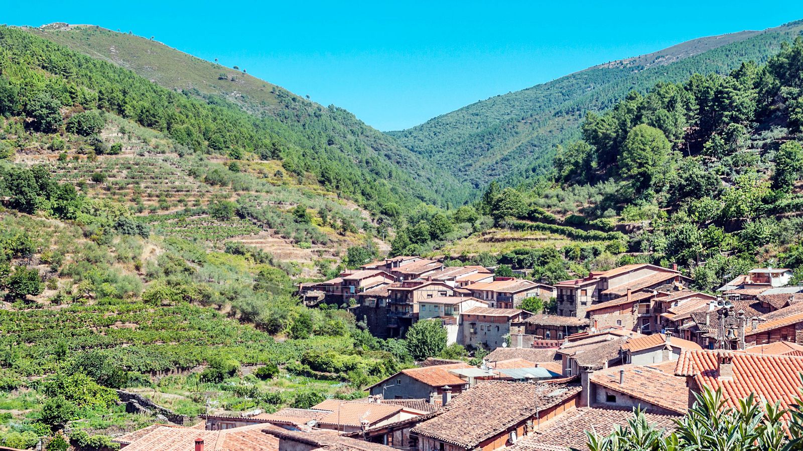 80 cm - Sierra de Gata - ver ahora