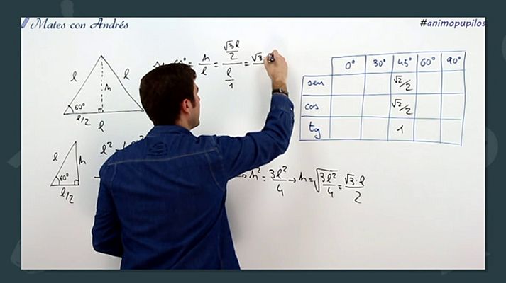 Aprendemos en casa - 14/16 - Matemáticas