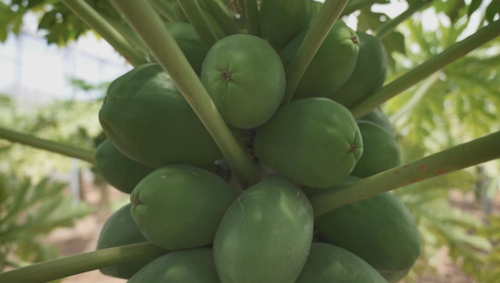 Aquí la Tierra - 11/05/20 - ver ahora