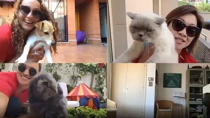 Telediario 1 - El equipo de natación artística hace 'Karaoke sin piscina'