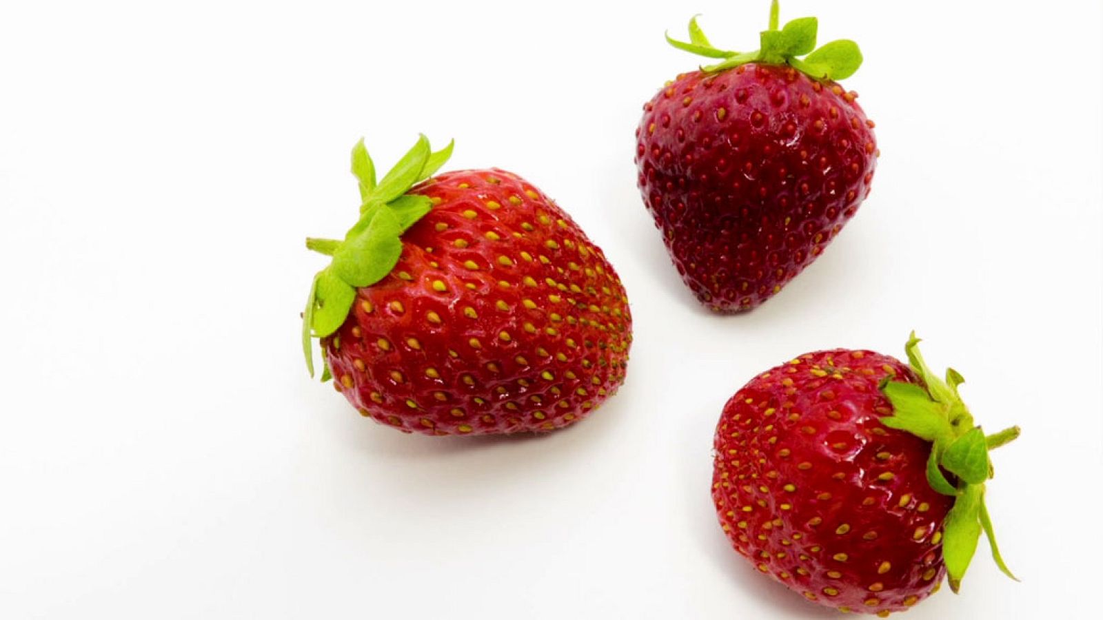 CIENCIAS NATURALES - When is the right time to eat food? - EduClan 6 a 8 años | Ver