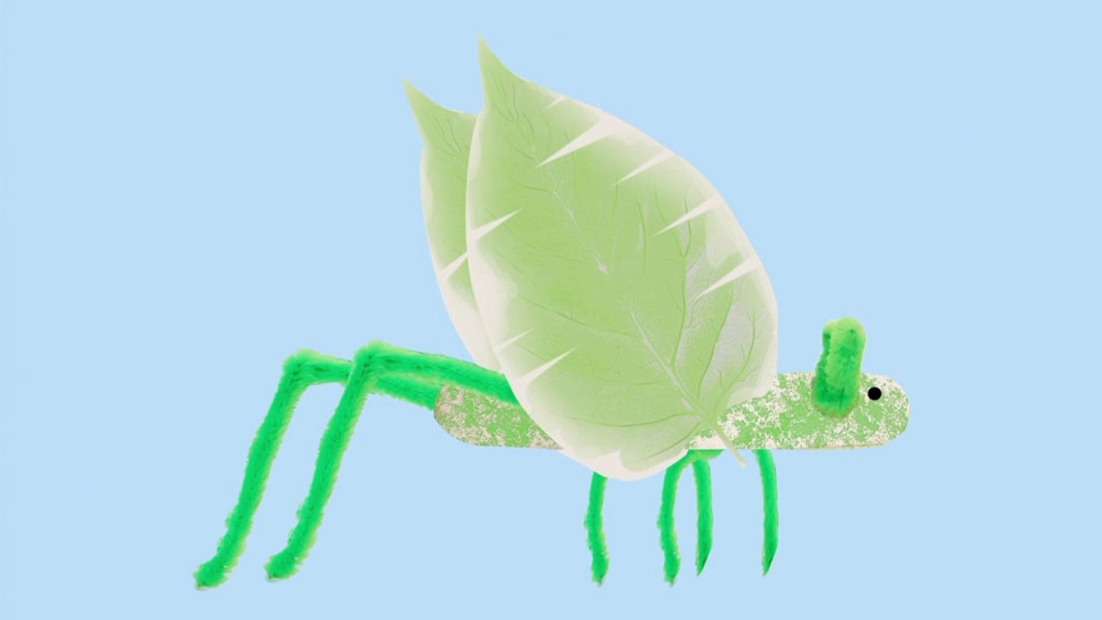 CIENCIAS NATURALES - How to make a leaf insect - EduClan 6 a 8 años | Ver