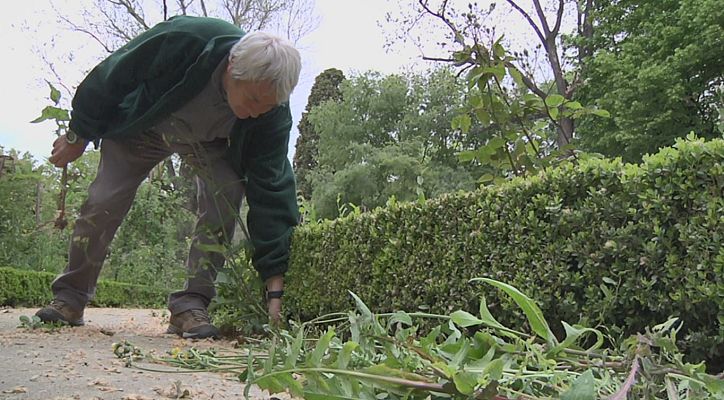 Aquí la Tierra - Aquí la Tierra - 15/05/20