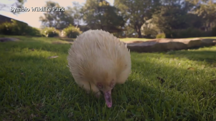 Aquí la Tierra - Aquí la Tierra - 17/05/20