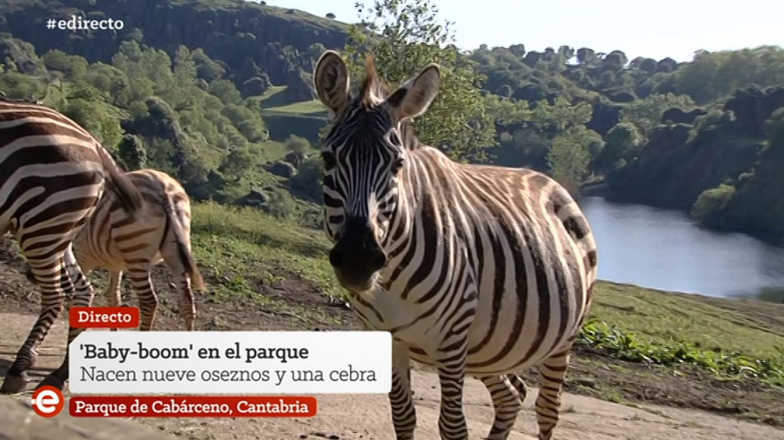 España Directo - 18/05/20 - ver ahora