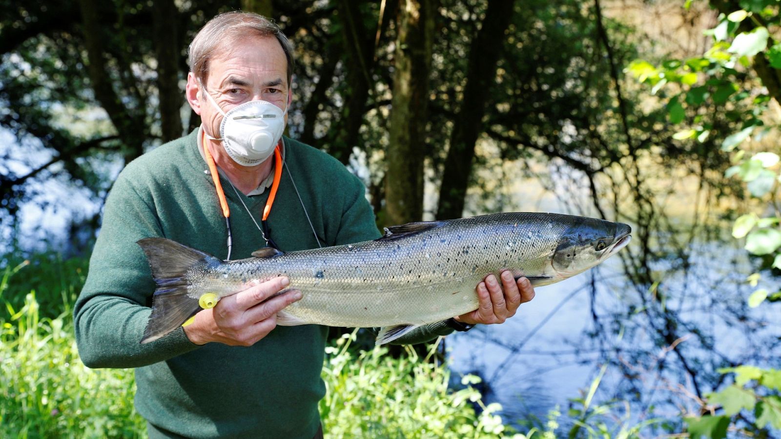 España Directo - 19/05/20 - ver ahora