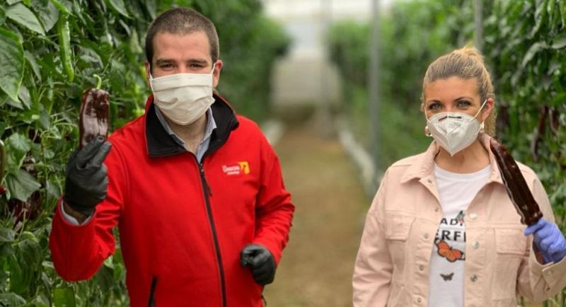 Aquí la tierra - ¿Conoces el pimiento chocolate?