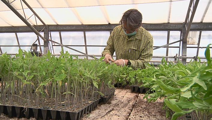 Aquí la Tierra - Las hortalizas más castizas