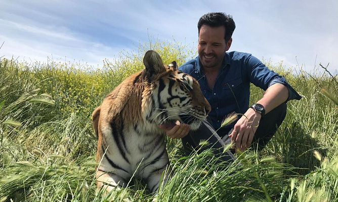 Aquí la Tierra - ¡Animales de cine!