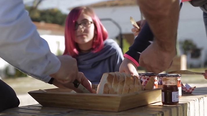 Cámara abierta - Benefit Corporation, Alma Natura, Jan Svankmajer