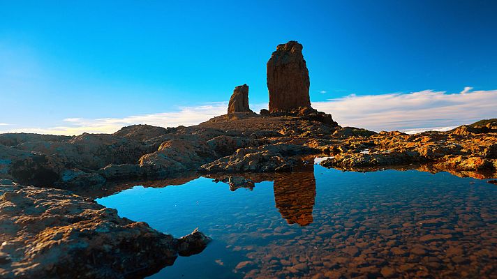 80 cm - Gran Canaria